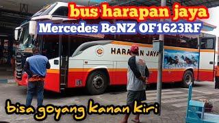 Bus harapan jaya  MerCedes BeNZ OF 1623 RF DRIVER Mr MBAH KAMDI  bisa goyang kanan kiri