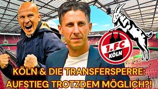 1. FC Köln AUFSTIEG trotz Transfersperre? Wie gut ist der Kader?