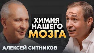 Как гормоны нас формируют? Секреты мозга  Алексей Ситников