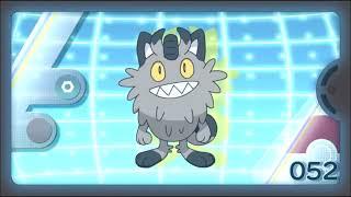 Alolan Meowth Pokédex Entry - Just A Scones Throw From Here