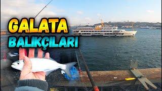 Battle for Life on the Galata Bridge  In Search of Bluefish