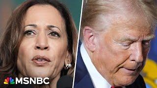 Harris leading Trump by six points in new 2024 polling