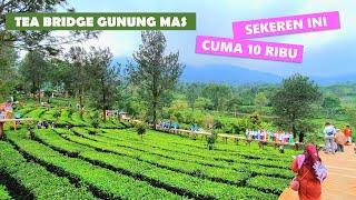 TEA BRIDGE GUNUNG MAS PUNCAK  JEMBATAN DIATAS KEBUN TEH  WISATA RAKYAT KEREN MURAH BANGET 