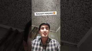 Ҳақоратчида чи ҷавоб тием?