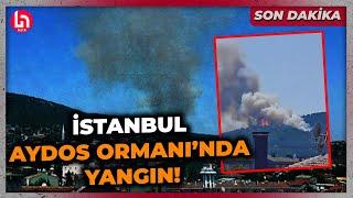 SON DAKİKA İstanbul Aydos Ormanında korkutan yangın Alevler yerleşim yerlerine doğru ilerliyor