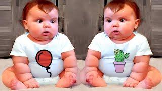 You laugh You restart - Twins Baby Fight Best Of The Year  Cool Peachy