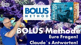 Fauna Marin Reef News Live Das Bolus System - FAQ Antworten auf Eure Kommentare