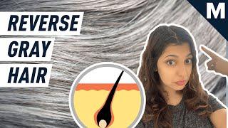 How to Reverse Gray Hair According to Scientists  Mashable