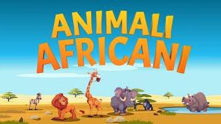 Fatti sugli animali africani  Impara gli animali selvatici per i bambini  Video educativi