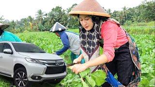 Kata neng anggi kalau harga sesim 8rb1 kg bisa kebeli mobil pajero  gadis desa cantik  pedesaan