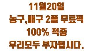 11월20일 스포츠토토 전자랜드 vs KGC 농구 GS칼텍스 vs 도로공사 배구 정밀분석