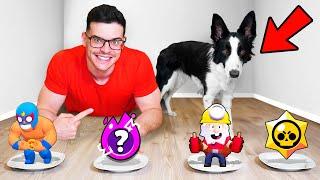 Mi Perro Decide Mi Partida de Brawl Stars