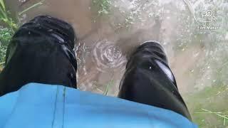 72. Crossing a puddle wearing Acquo rubber boots