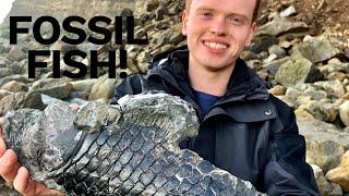 Fossil Fish HUGE Squid Ichthyosaur Paddle Preparation 3 Days Outdoor Hunt  Fossil Hunter