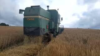 Harvest 2022   Winter Barley