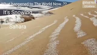 Snow in Sahara Sand Dunes  What Happened to The World now?