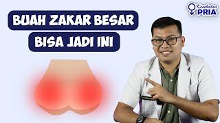 PEMBENGKAKAN BUAH ZAKAR - DOKTER SADDAM ISMAIL