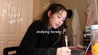 how i study korean + some more tips  not really studying with nina 10