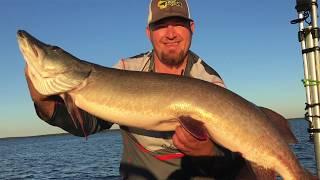 BMG Crushes  Nice 45 Musky