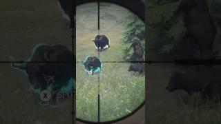 We Found Our First Diamond Yak  TheHunter Call Of The Wild