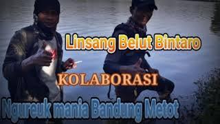 MANCING BELUT CABEAN SERU &  KOCAK