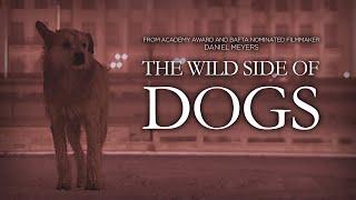 An animal documentary unlike any you have seen before  The Wild Side of Dogs  Full Film