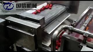 Fresh tomato washing and spray waxing machine丨Fruit washing and waxing Machine Manufacturers