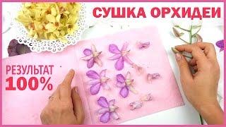 ЮВЕЛИРНАЯ СМОЛА Как сушить орхидею?  ГЕРБАРИЙ