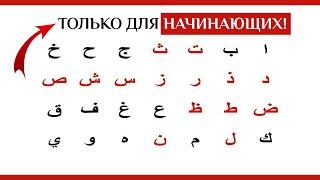 ДЛЯ НОВИЧКОВ Арабский Алфавит За 5 Уроков Выучить БУКВЫ