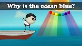 Why is the ocean blue?  #aumsum #kids #science #education #children