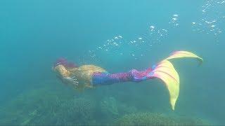 MERMAID BERENANG DI LAUTAN LUAS️ Pulau Macan