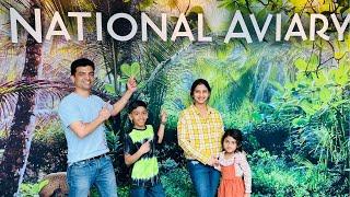 Wings Of Wonder Exploring The National Bird Aviary In Pittsburgh USA  Indian Vlogger