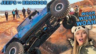 FORD BRONCOS vs JEEP WRANGLERS vs JEEP GLADIATORS Off Road