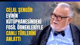 Celal Şengör Evinin Kütüphanesindeki Fosil Örnekleriyle Canlı Türlerini Anlattı