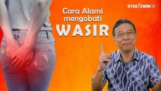 Cara Alami Mengobati Wasir  Ambeien