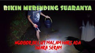 FIRE EEL NGOBOR  Catching Wild Rice Eels #ngoborbelut #tangkapbelut #samorofficialchannel