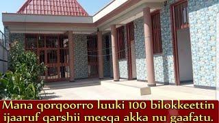 Woww mana luuki 100 bilokeettin ijaaruf qarshii meeqa akka isin gaafatu