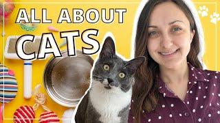 Crazy for CATS   English Vocabulary Lesson  learn English with me and Marshall