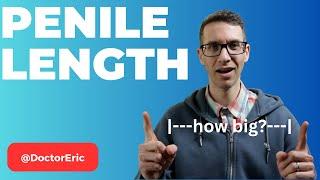 Increase penile length? Whats true and whats not  Urologist explains