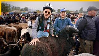 Most Exotic Street Food in Kyrgyzstan  Massive Animal Market + Underground Roasted Meat