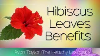 Hibiscus Leaves Benefits and Uses