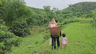 Nhung searched everywhere for Quyen and her daughter but could not find her