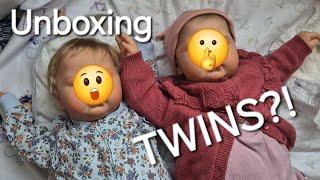 I have TWINS now? High End Reborn UNBOXING