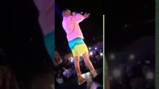 Bad Bunny en LA CALMA PR