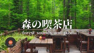 Ambient sounds + JAZZ Gentle Forest sounds Relaxing workstudy CAFE MUSIC - BGM for work