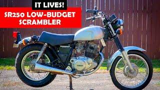 The Yamaha SR250 Scrambler on a Budget Lives EP 5