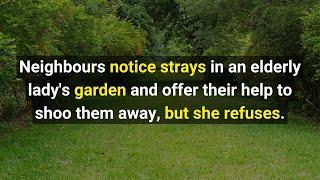 Neighbours notice strays in an old ladys garden and offer help to shoo them away but she refuses