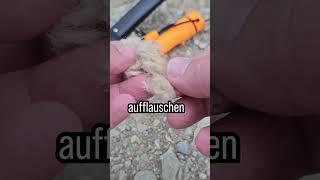 Survival #7vswild Lüge Rohrkolben ist guter Zunder