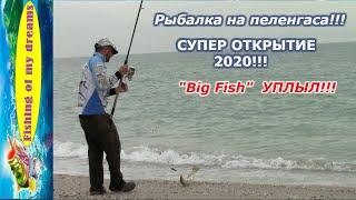 Рыбалка на пеленгасаСУПЕР ОТКРЫТИЕ сезона 2020Big Fish пока не мой