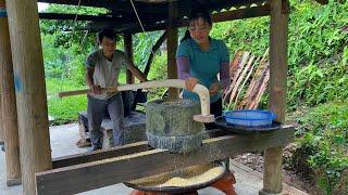 Stone Mill Repair Process Planting More Papaya Trees - Happy Life Together